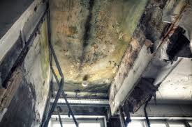 Asbestos and Lead Testing During Mold Inspection in Vicksburg, MS